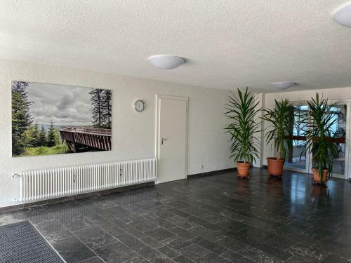 Apartamento Schwarzwald Wohnung Kniebis