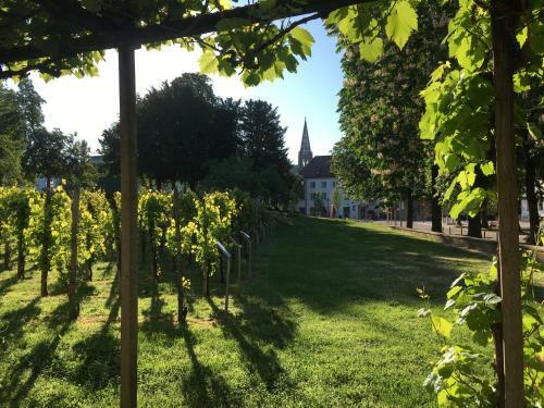 Apartamento Bobbele Freiburg Zentrum