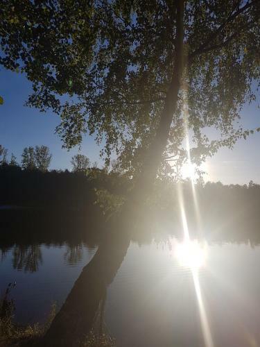 Ferienhaus 89 Am Silbersee