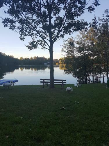 Ferienhaus 89 Am Silbersee