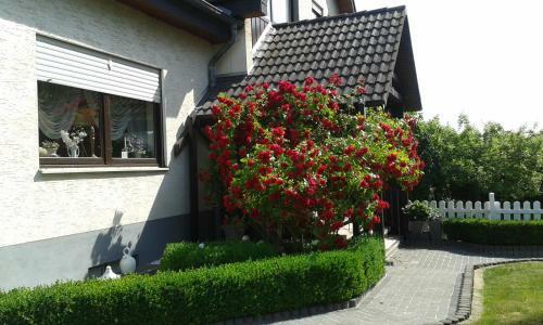 Apartamento Ferienwohnung Raupe