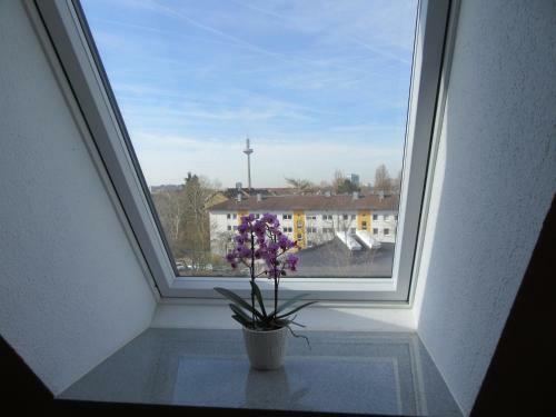 Hotel Haus Aja Textor-goethe