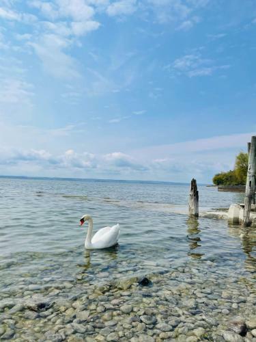 Apartamento " Sunshine Am See "