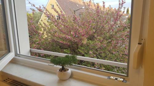 Apartamento Ferienwohnung Cifci