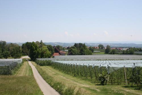 Apartamento Hof Sch�tterle
