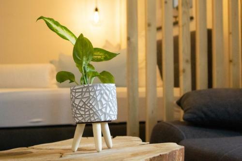 Apartamento Am Seewald - Ferienwohnung Am Bodensee