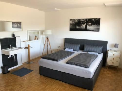 Bodensee City Apartments Friedrichshafen