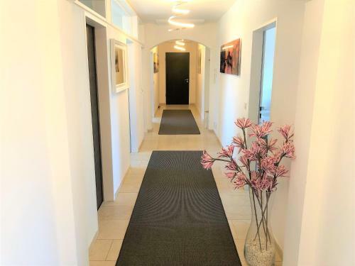 Bodensee City Apartments Friedrichshafen