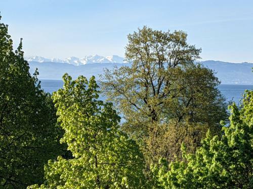 Apartamento Ferienwohnungen Vera & Lea