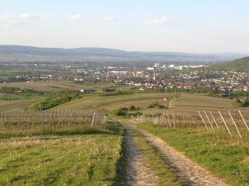 Apartamento Ferienwohnungen In de Goldisch Luft