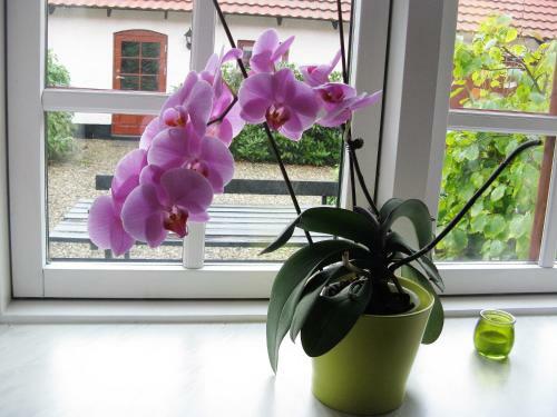Bed & Breakfast Vranum Guesthouse