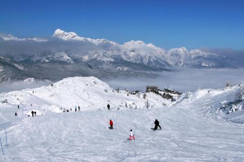 Chalet Hostel Murka