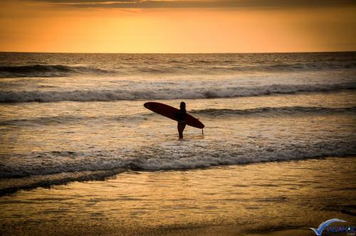 Lodge Caba�as Viejamar
