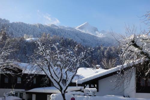 Apartamento Alpenheim