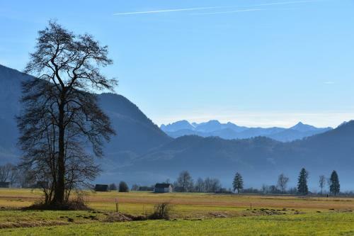 Apartamento Alpenheim