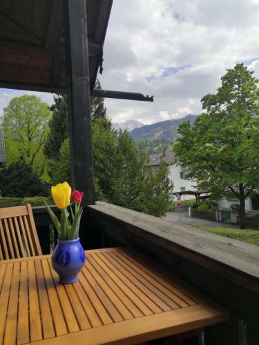 Haus Erika 1911 - Alpspitze