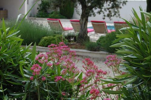 Bed & Breakfast La Goutadou