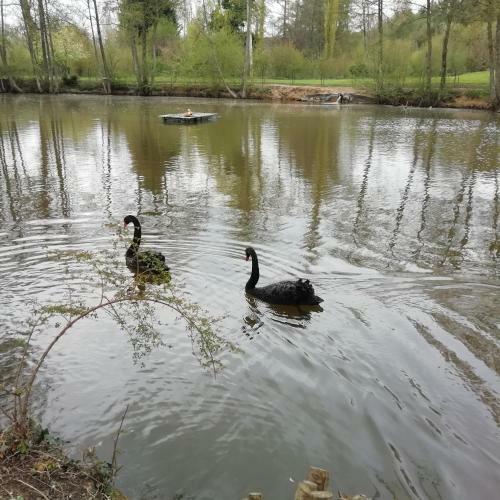 Au Fil de L'eau � La Campagne