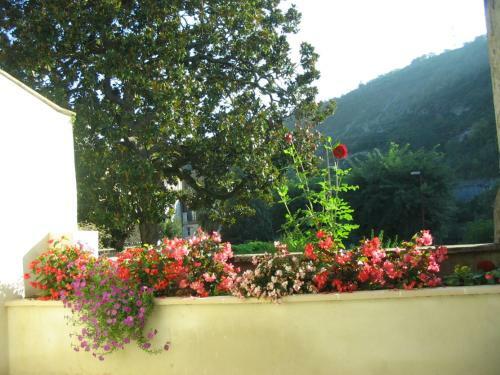 Apartamentos Gite Martine