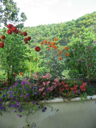 Apartamentos Gite Martine
