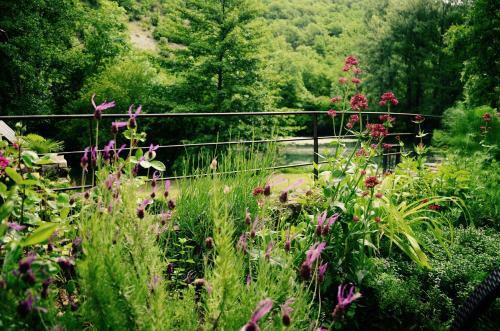 Bed & Breakfast Moulin de Latreille