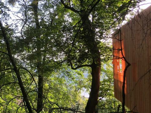 La Cabane de La Saone, Lyon Country House