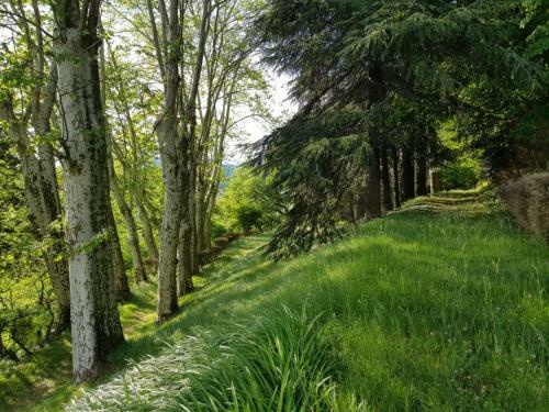 Hostal Lyon Country House
