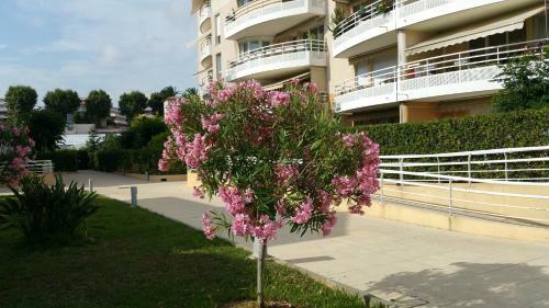 Apartamento Le Felicita