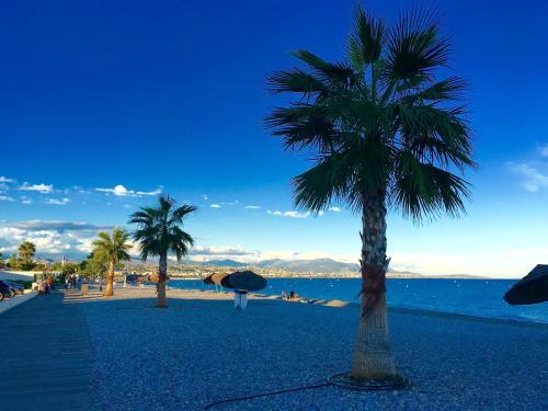 Apartamento French Riviera Luxury