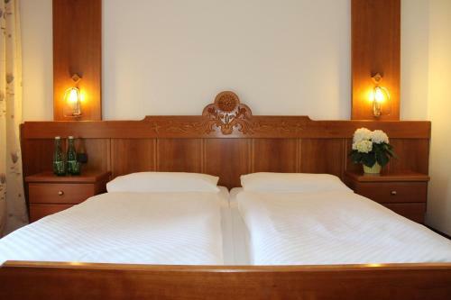 Hotel Lindwurm