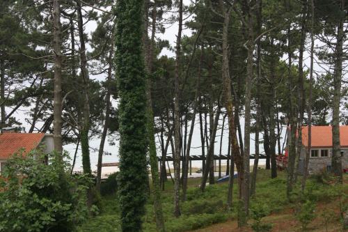 Hotel Al�n Do Mar