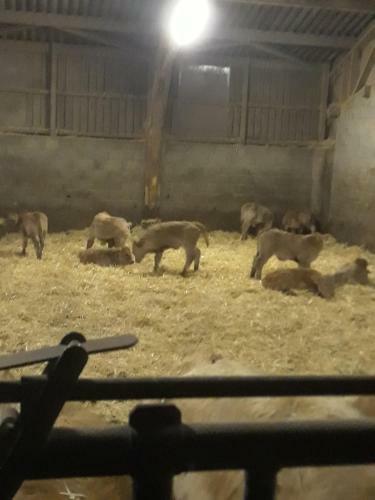 G�te � La Ferme