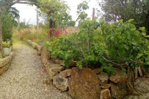 Beautiful Detached Cottage With 4 Bedrooms