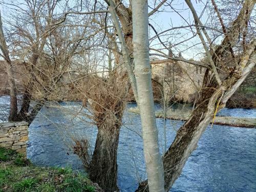 Chambre D H�tes Campagne Sur Aude