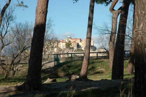 Apartamento Studio Les Pieds Dans L'eau Calvi