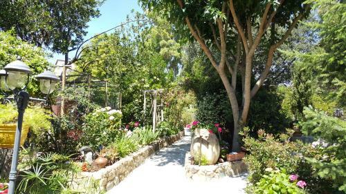 Aparthotel R�sidence Le Home