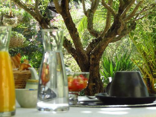 Bed & Breakfast La Bastide De Canaules
