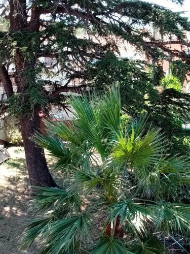 Apartamento Appartement de Charme - Canoh�s