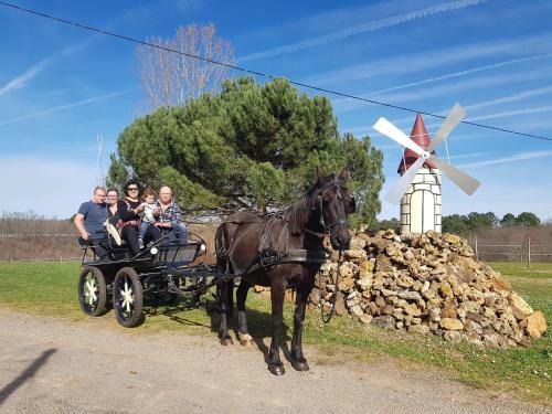 G�te �questre Domaine Des Crins - Monpazier
