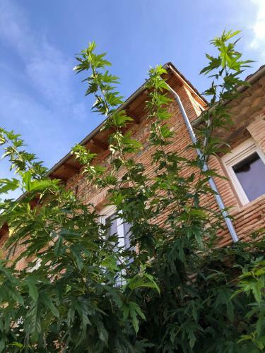 Apartamento Domaine de La Terrasse