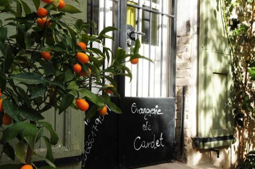 Orangerie de Cardet - Apartment Le Tilleul