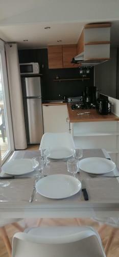 Mobil Home Luminosa 2021