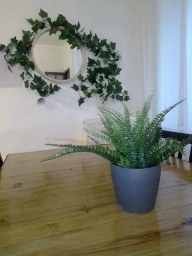 Apartamento Un Tr�sor En Bastide : 4/6 Couchages