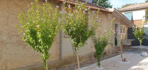 Apartamento Les Jardins de La Majore