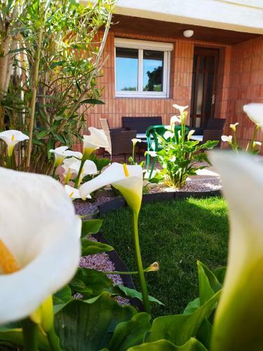 Hostal Riba D'aude