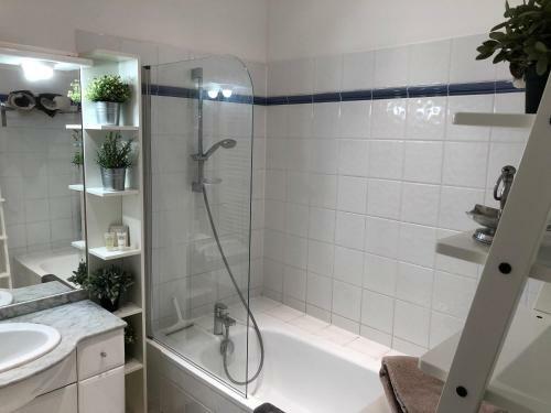 Apartamentos Villa Mimosas Cannes
