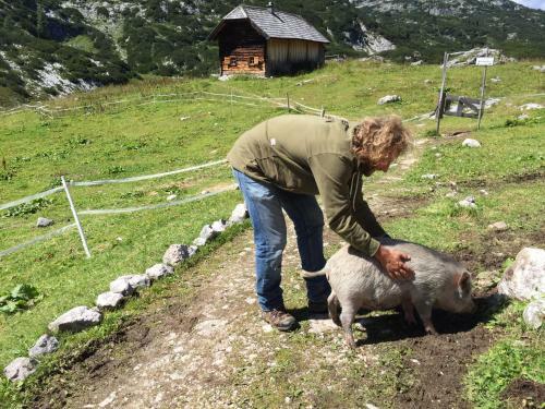 Hostal Gjaid Alm