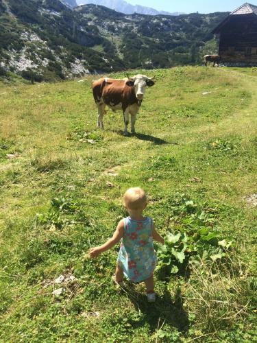 Hostal Gjaid Alm