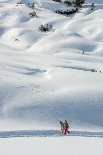 Hostal Gjaid Alm