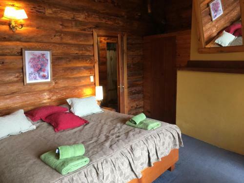 Lodge Caba�as Brazo Huemul